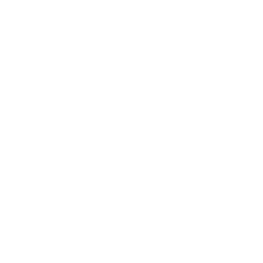 Segundo premio